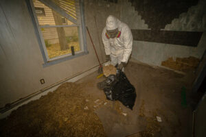 Insulation Removal